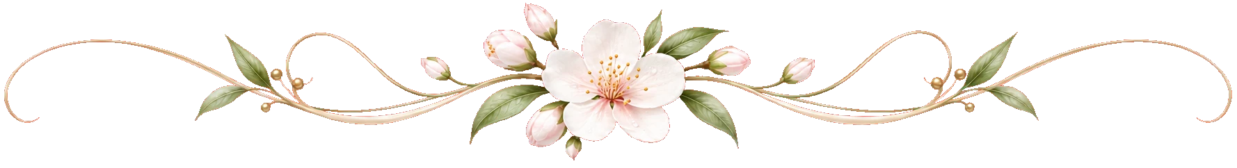 A delicate, finely detailed transparent floral flourish, suggesting freshness and the beginning of a soothing skincare ritual.