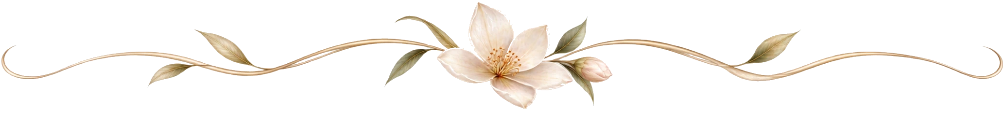 Subtle and elegant delicate floral ornament on a transparent background, designed to separate two sections of an article about skin hydration.
