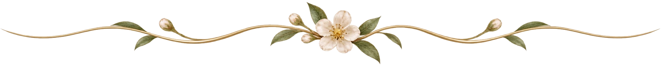 Fleuron ornemental délicatement fleuri, discret et élégant, sur fond transparent, destiné à introduire une nouvelle section d'un article de soins de la peau.