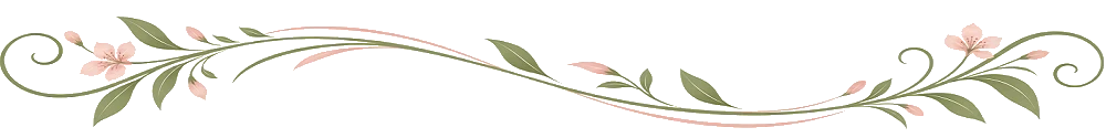 Transition illustration[/ALT] [ALT]Transition illustration